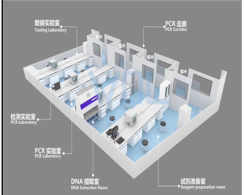 臨床基因擴增（PCR）實驗室設計探討